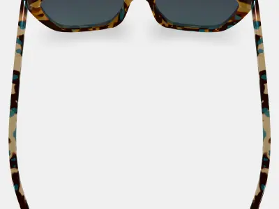 Janelle Sunglasses in Seashore Tortoise 3D model