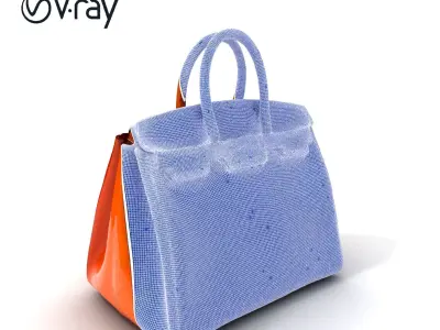 Luxurious Leather Handbag D Model Pack Low-poly 3D model