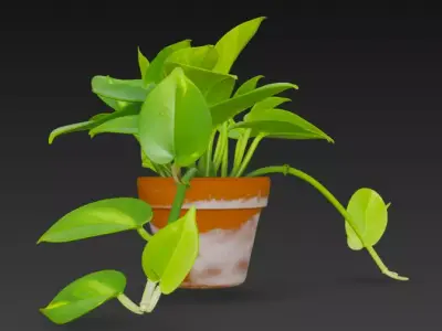 3D Pothos Plant Pot 3D model
