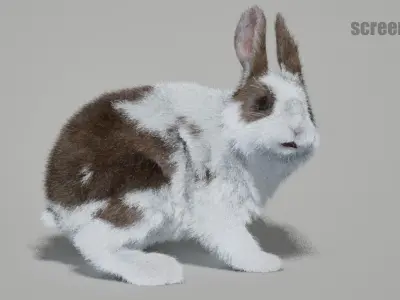 Rabbits Animated UNREAL project  Maya base rig 3D model