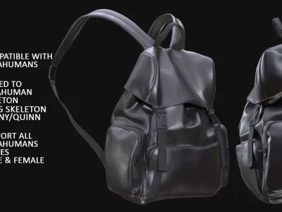 Backpack 129 - All MH Bodies - UE5 Skeletons - Rigged Low-poly 3D model