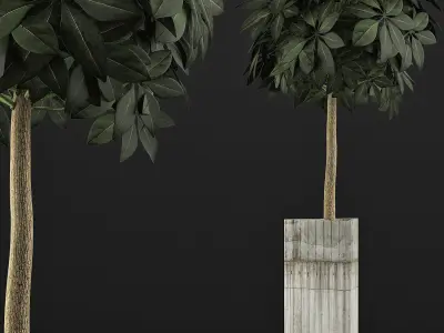 Plants Collection 65 3D model