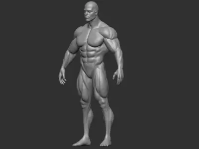 bodybuilder 3D print model male body 3D print model