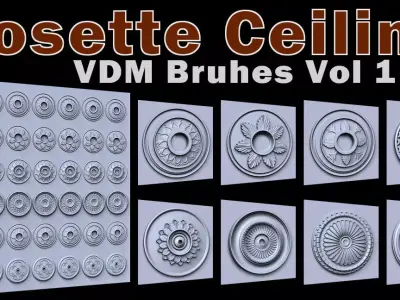 Rosette Ceiling VDM Brushes for Zbrush Vol 1 Low-poly 3D model