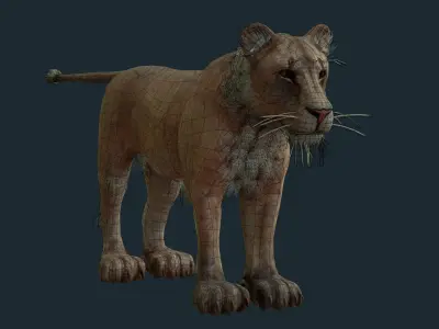 Lioness for Games and Film Low-poly 3D model