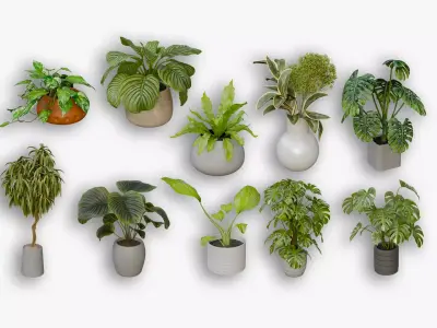 10 Realistic Indoor Plants Pack Interior Decoration Assets 3D model