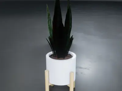 Sansevieria guineensis - Sword of Ogum Free 3D model