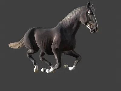Animated Black Horse Low-poly 3D model