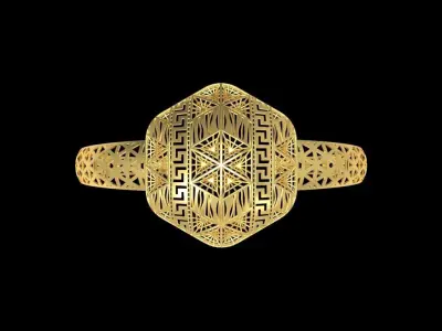 Fusion Gold Wristband RABBW15 3D print model