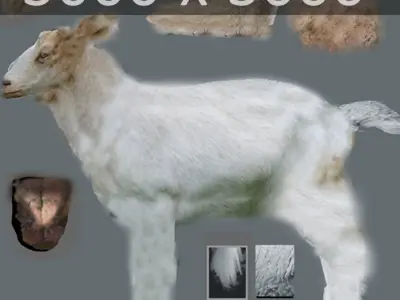 Pack - Domestic Animals Rigged 3D model