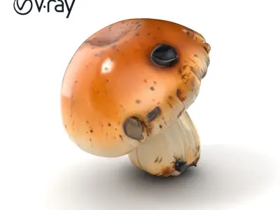 Realistic Damaged Boletus Mushroom model pack Low-poly 3D model