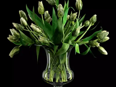 Green Parrot Tulips 3D model