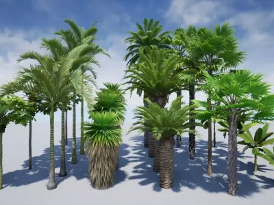 HQ Plants Volume 5 Palms for unreal engine 3D model set of 24 3D model