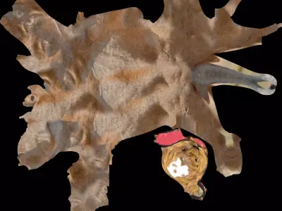 Lion animal 3D model