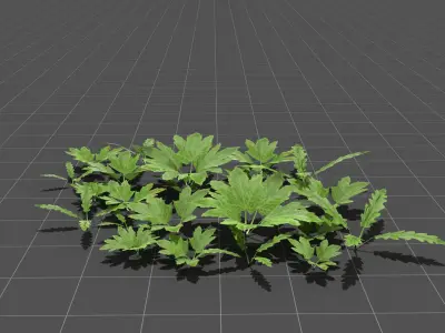Realistic Leafy Plants and Weeds - High Quality Low-Poly Models Low-poly 3D model