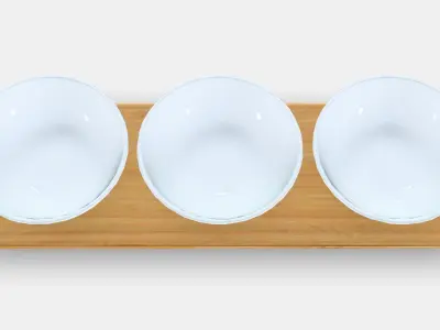 TYNGDLOS tray  3 bowls Low-poly 3D model