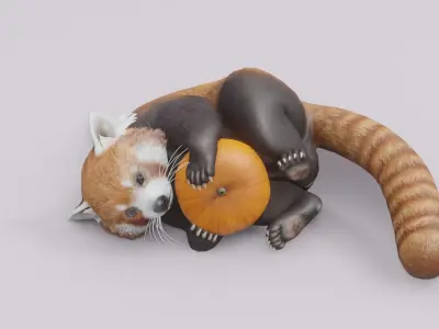 RedPanda animated 3D 3D model