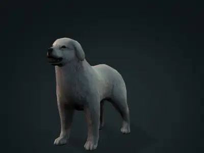 dog character rigged animated Low-poly 3D model