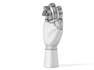 Wooden Hand 3D model