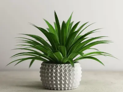 pot collection a14 5 pots