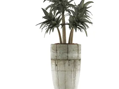Plants Collection 94 3D model