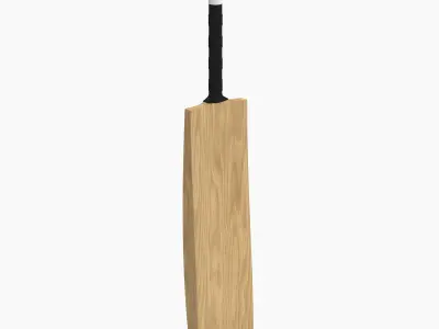Cricket Bat 3D model buy