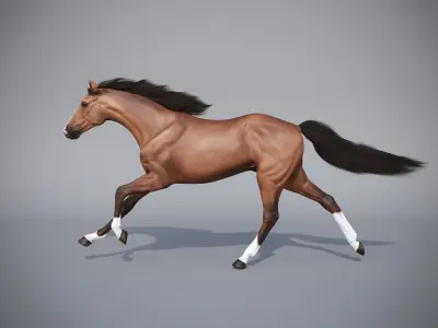 Horse in three poses  not animated Low-poly 3D model
