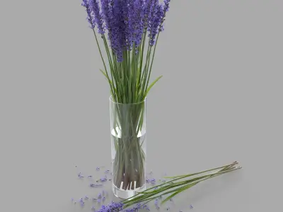 The bouquet of lavender in a vase 3D model