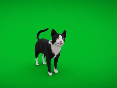 Tuxedo Cat Low-poly 3D model