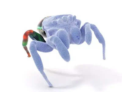 Vibrant Jumping Spider model pack Low-poly 3D model