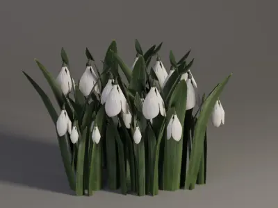 Snowdrop Spring Flower Galanthus Low-poly 3D model
