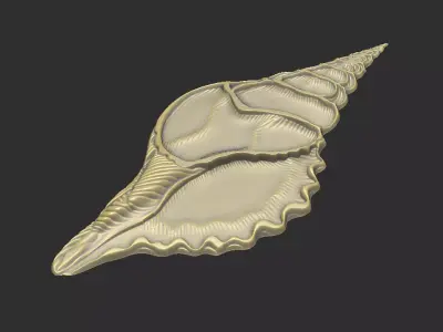 Shell cross section cnc aspire artcam V relief print engrave 3D print model