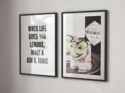 Posters -  Gin and Tonic 3D model