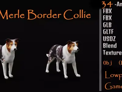 Blue Merle Border Collie Dog Low-poly 3D model