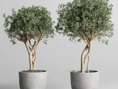 Collection Indoor outdoor plant 161 concrete dirt vase pot tree  Low-poly 3D model