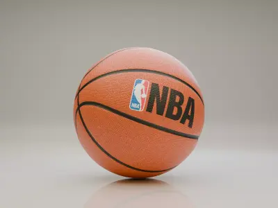 Basketball 3D model order