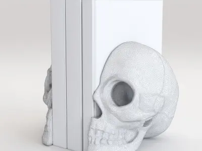 Skulls silver skull 3D model
