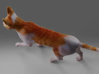 Calico Cat Rigged and Animated V2 in Blender Low-poly 3D model