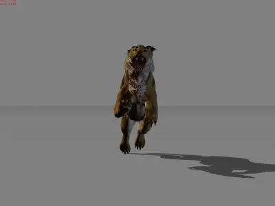 Lynx Animal Wildcat Low-poly 3D model