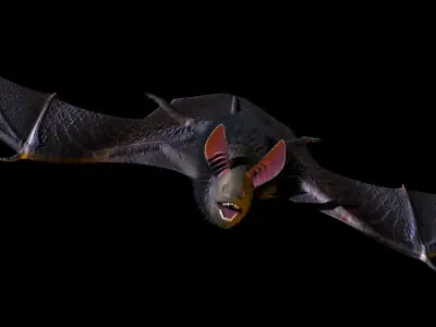 3D Bat model flying 3D model