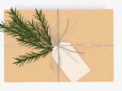 Wrapped Christmas gift 05 3D model