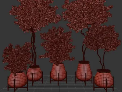 indoor plant olive 01 3D model