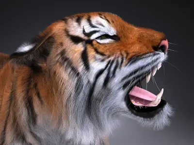 Sumatran Tiger for 3dsmax 3D model