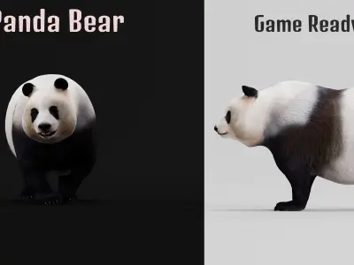 Giant Panda Bear  3D model