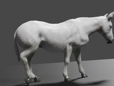 WHITE HORSE ANIMATED Low-poly 3D model