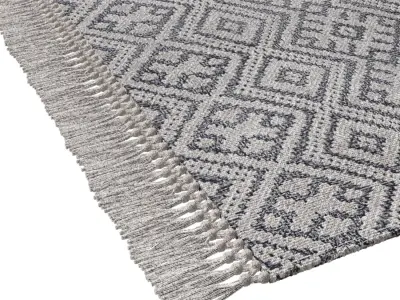 Carpet Jaipur Etnic by Divan ru 3D model