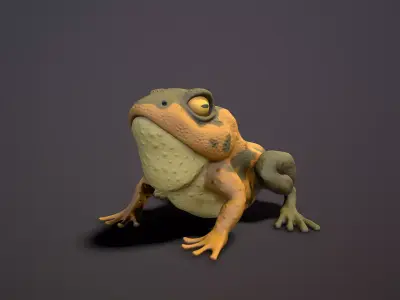 brown frog  Low-poly 3D model