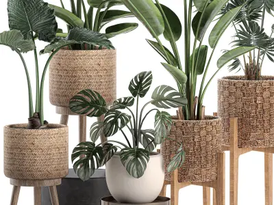 Decorative plants in a basket 574 3D model