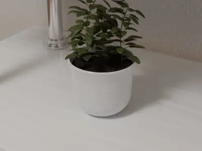 Pot plant 3D model