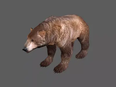 Next Gen AAA Brown Bear - game model Low-poly 3D model